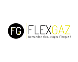 Flexgaz.fw